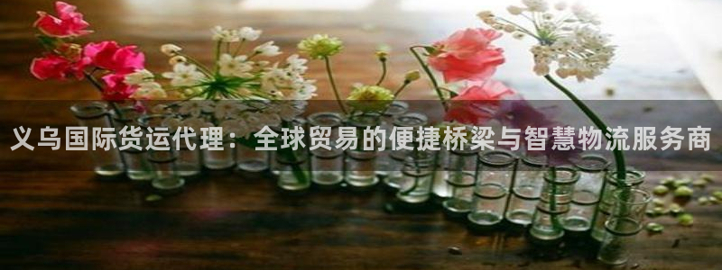 okpay是哪个国家的钱包：义乌国际货运代理：全球贸易的