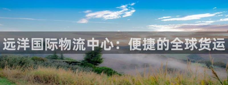 okpay钱包下载手机版：远洋国际物流中心：便捷的全球货