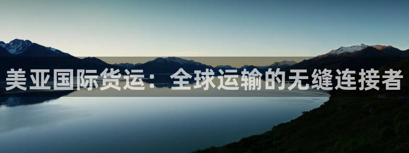 okpay钱包地址怎么查询：美亚国际货运：全球运输的无缝