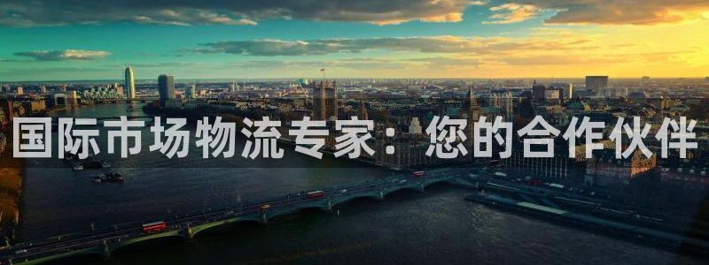 okpay支付钱包下载：国际市场物流专家：您的合作伙伴