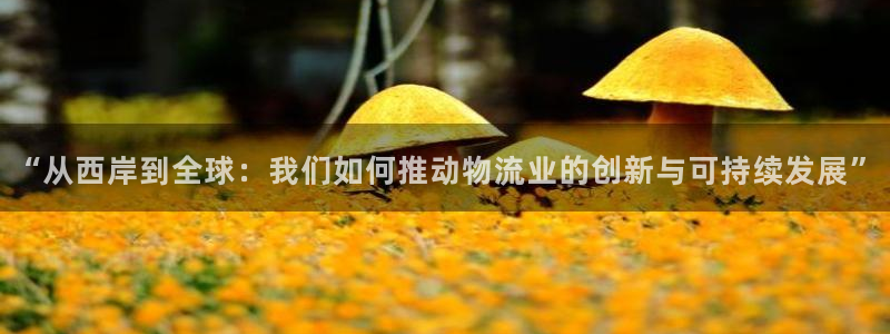 下载okpay钱包：“从西岸到全球：我们如何推动物流业的