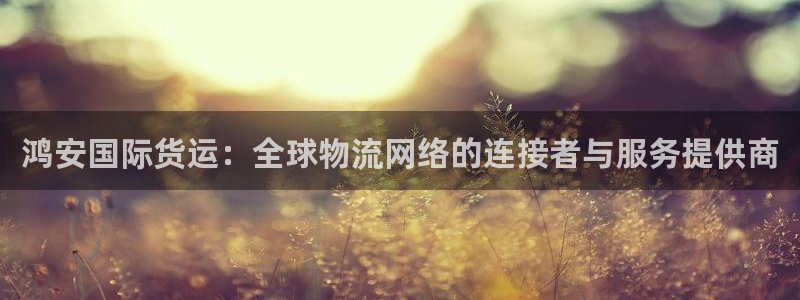 okpay钱包怎么提现到微信：鸿安国际货运：全球物流网络