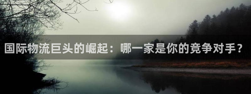 okpay钱包提现方法：国际物流巨头的崛起：哪一家是你的