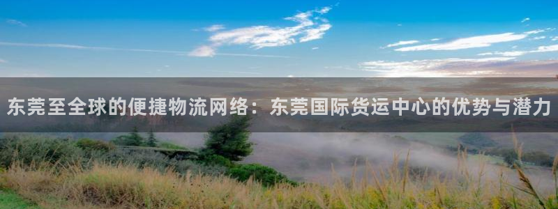 okpay下载钱包：东莞至全球的便捷物流网络：东莞国际货