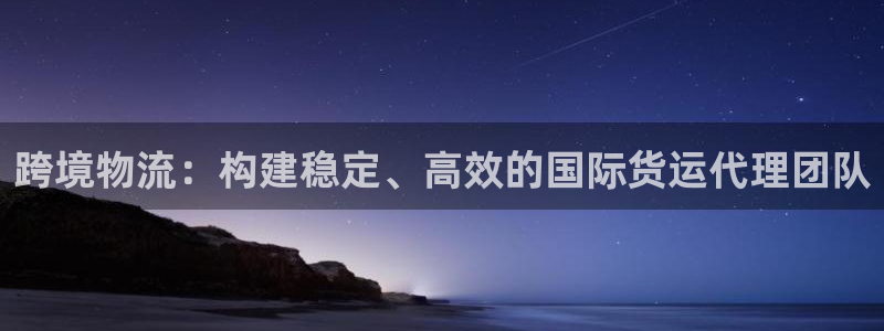 okpay钱包实名认证有风险吗：跨境物流：构建稳定、高效