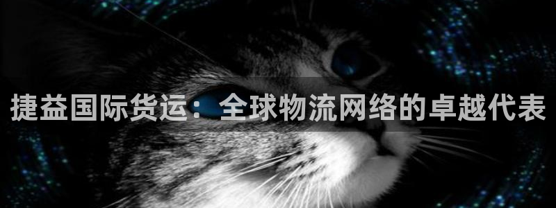 okpay支付钱包官网：捷益国际货运：全球物流网络的卓越