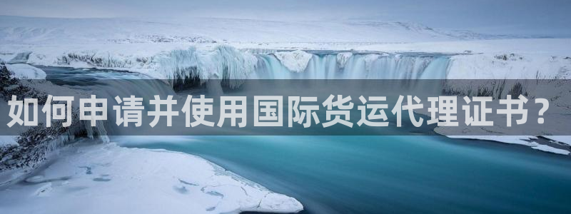 okpay钱包支付：如何申请并使用国际货运代理证书？