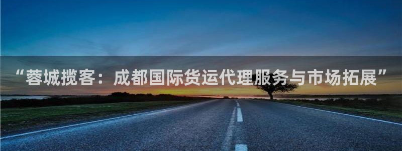 钱包okpay：“蓉城揽客：成都国际货运代理服务与市场拓