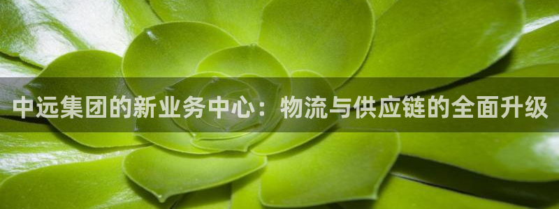 okpay钱包正规吗：中远集团的新业务中心：物流与供应链
