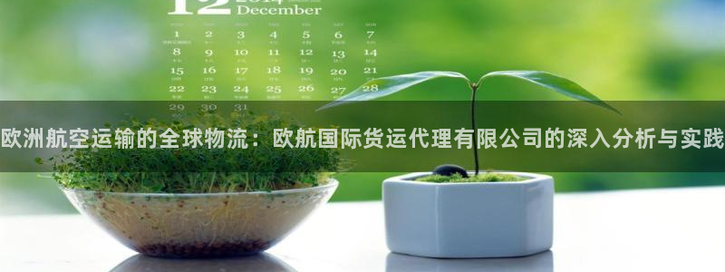 okpay钱包网址：欧洲航空运输的全球物流：欧航国际货运