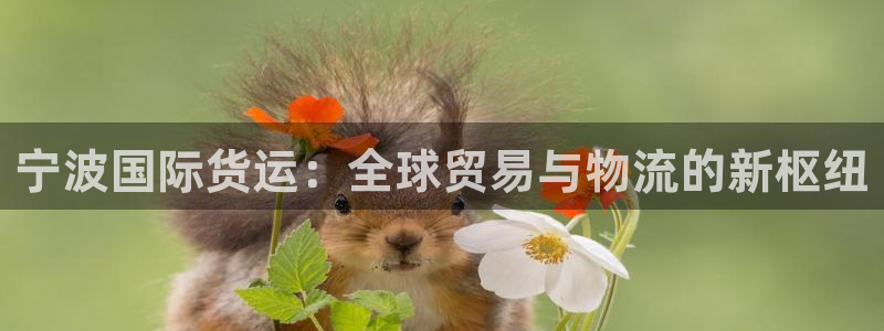 okpay钱包下载：宁波国际货运：全球贸易与物流的新枢纽