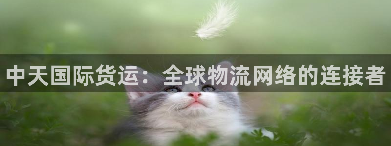 okpay钱包客服怎么联系：中天国际货运：全球物流网络的