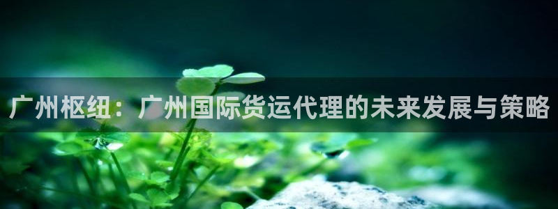 okpay钱包地址：广州枢纽：广州国际货运代理的未来发展