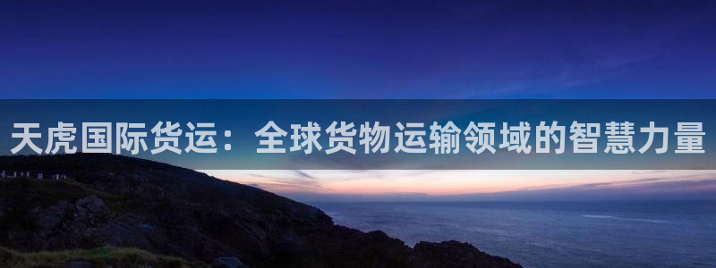 okpay数字钱包：天虎国际货运：全球货物运输领域的智慧