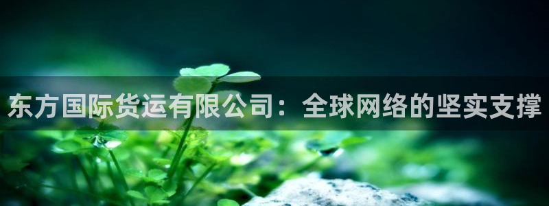 okpay钱包是什么：东方国际货运有限公司：全球网络的坚