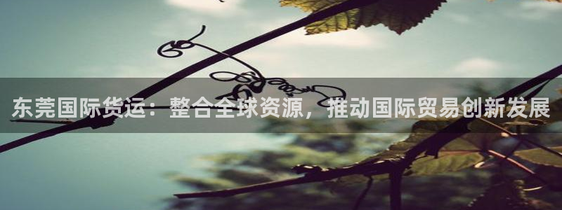 okpay钱包：东莞国际货运：整合全球资源，推动国际贸易