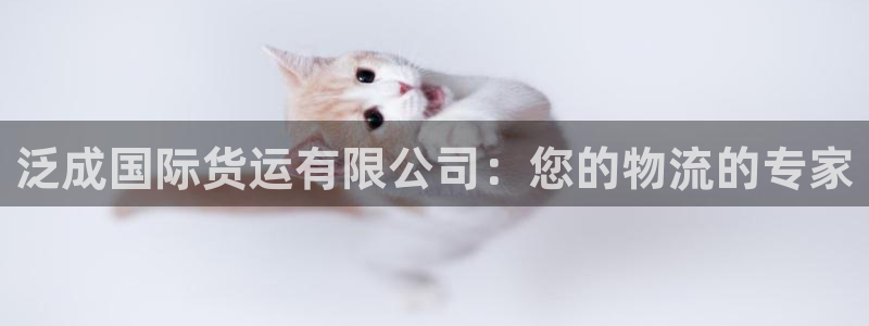 okpay钱包苹果版：泛成国际货运有限公司：您的物流的专