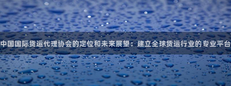 okpay钱包好用吗：中国国际货运代理协会的定位和未来展