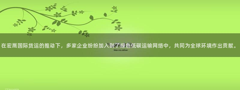okpay钱包安全吗：在宏鹰国际货运的推动下，多家企业纷
