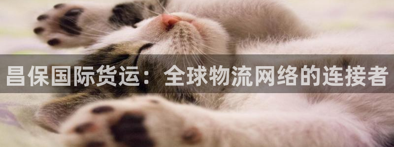 okpay钱包安卓下载：昌保国际货运：全球物流网络的连接